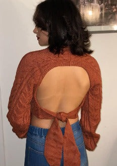 Brick Dayna Crop Sweater