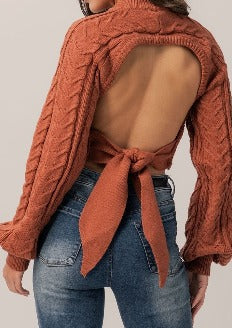 Brick Dayna Crop Sweater